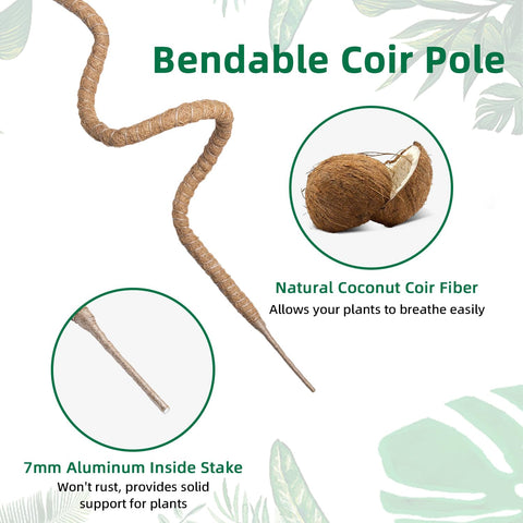 Mcbazel coco coir plant stake enhances root grip for healthy growth
