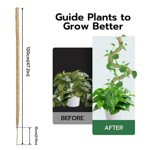 Mcbazel coir pole air-permeable design promotes healthier growth.