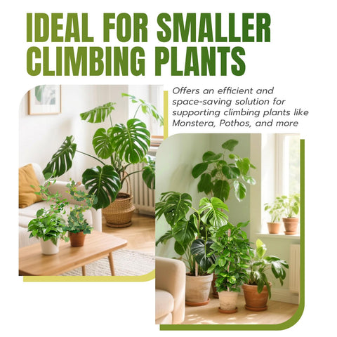 McBazel arch-shaped Monstera pole supports decorative climbing forms