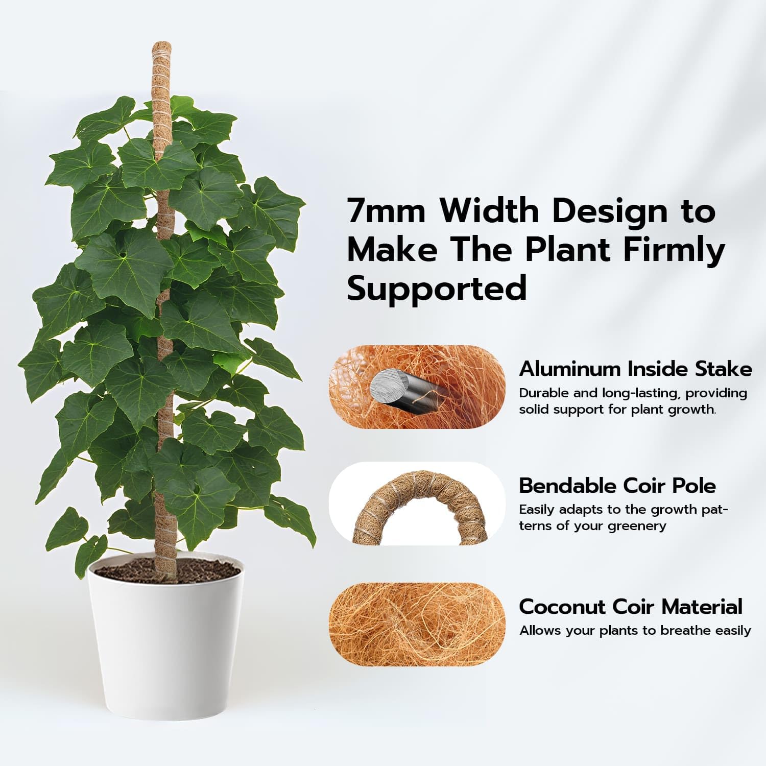 Mcbazel Monstera climbing support elevates indoor plant displays.