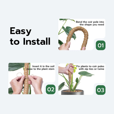 Mcbazel plastic strap bundle helps fasten the pole to the pot.