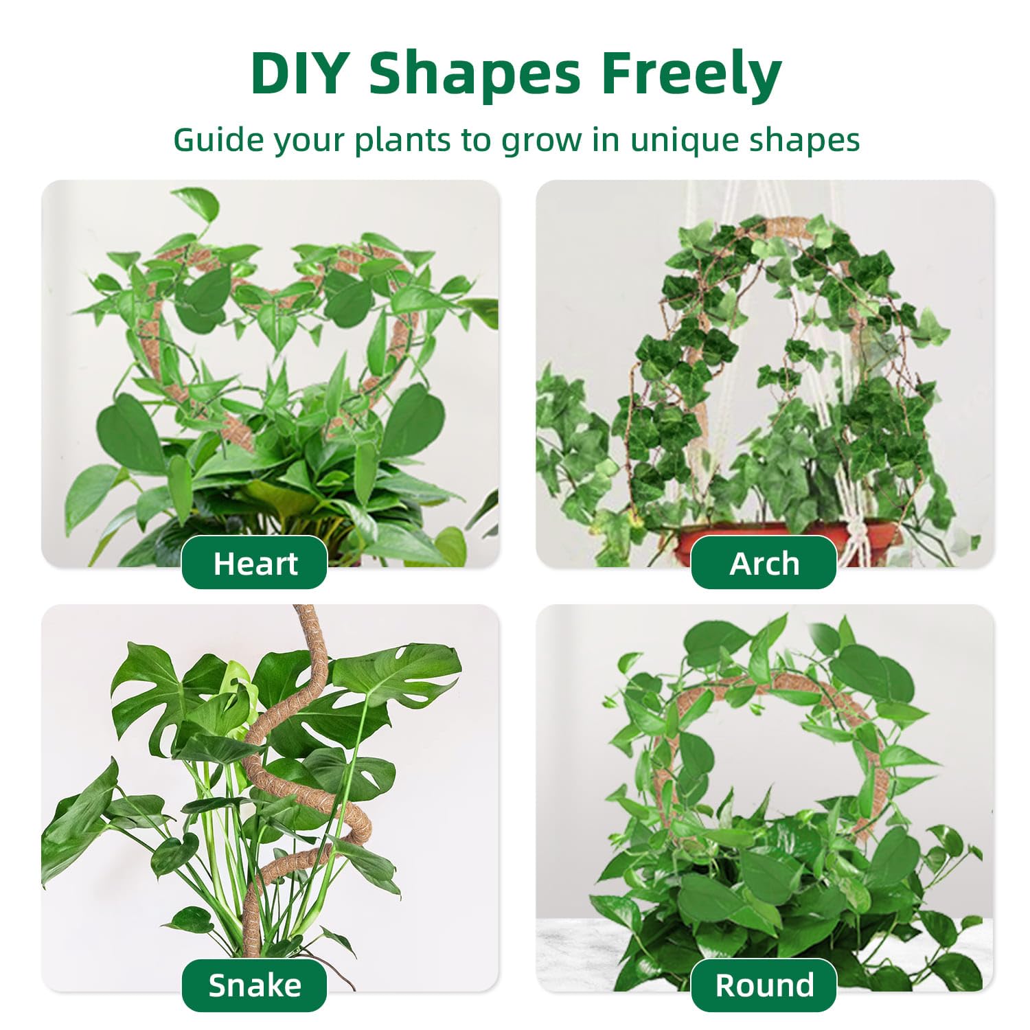 Mcbazel tall indoor plant stake provides sturdy vertical support