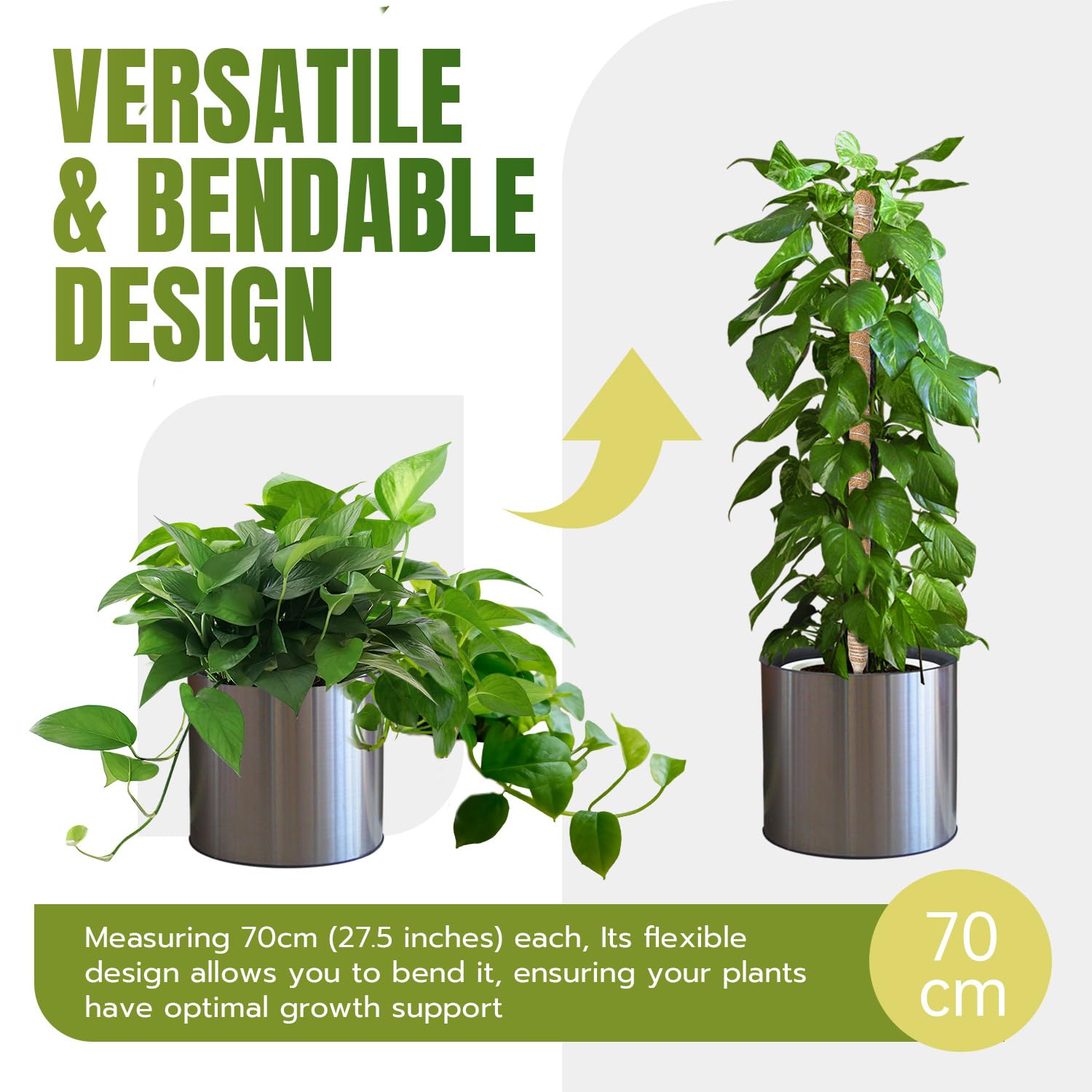McBazel two-pack plant stakes enable multiple vines to train upward