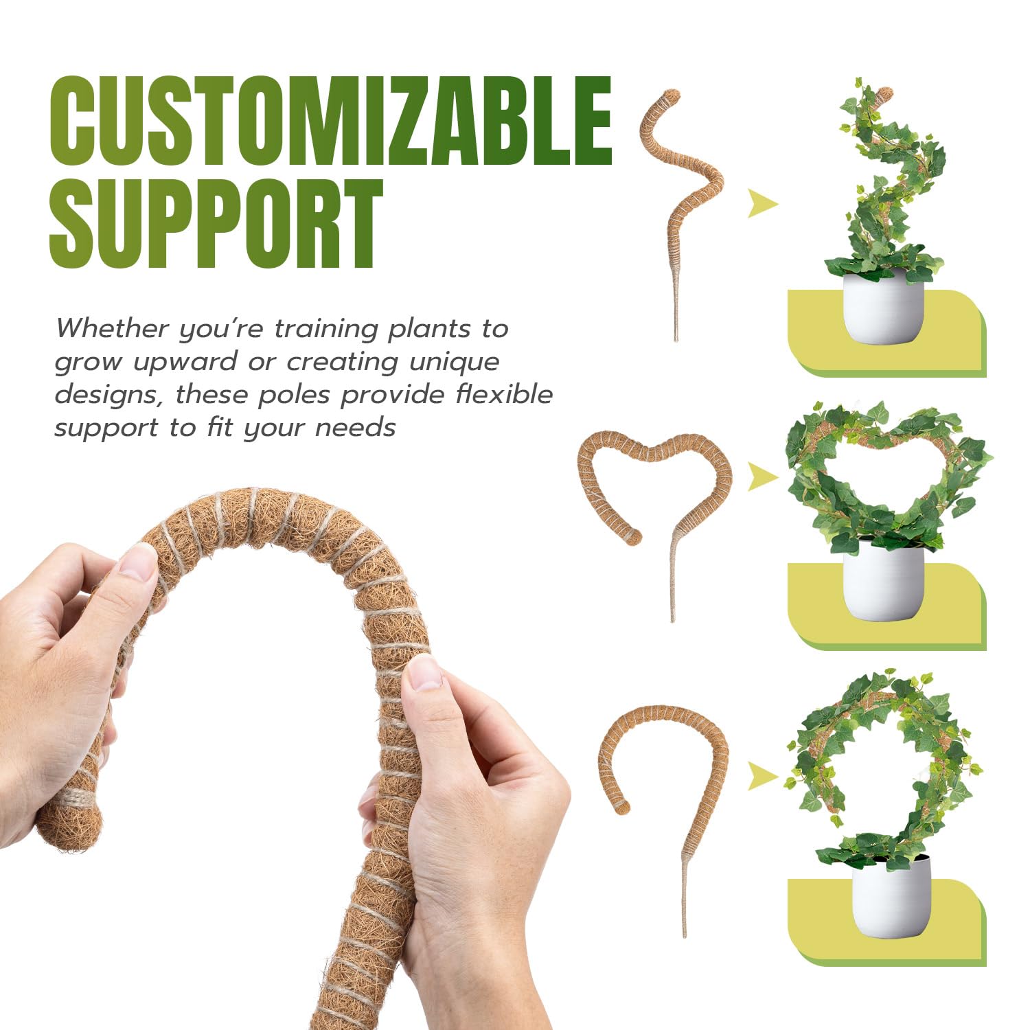 McBazel wooden base stays stable in pots for lasting support