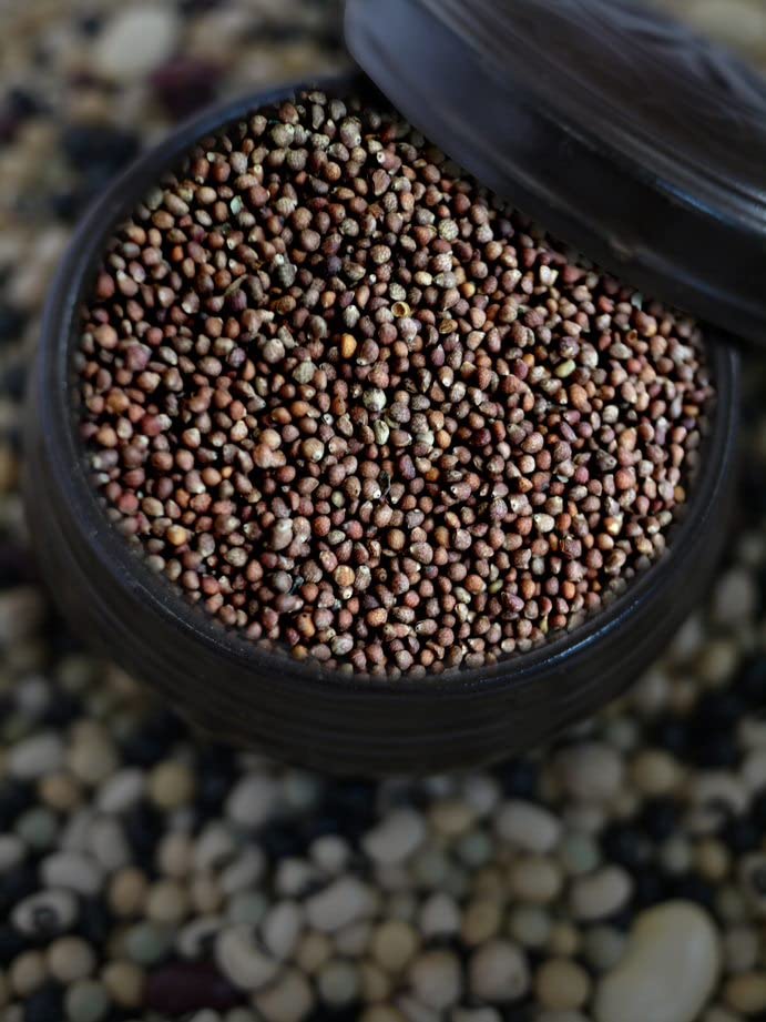 Close-up of McCabe Perilla Seeds reveals rich color and premium texture.