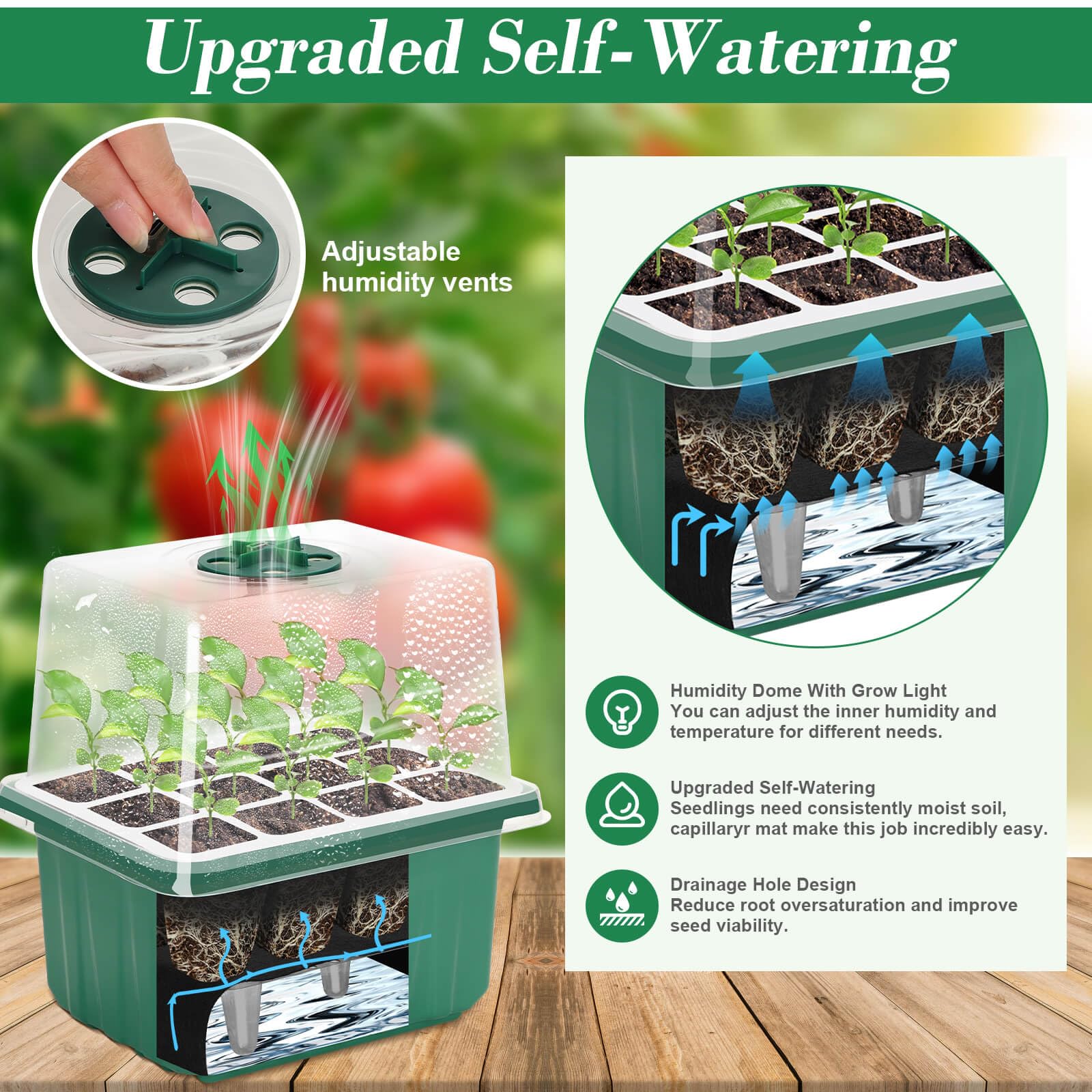 Mckanti heightened-dome with vent provides airflow and extra space for developing roots.