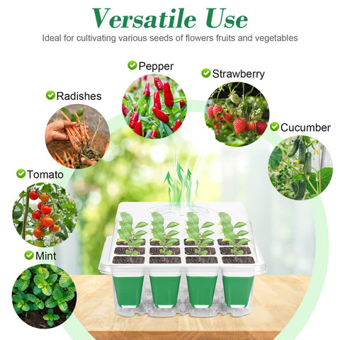 Mckanti multi-seed types seed-start kit – versatile for mint, tomatoes, berries.