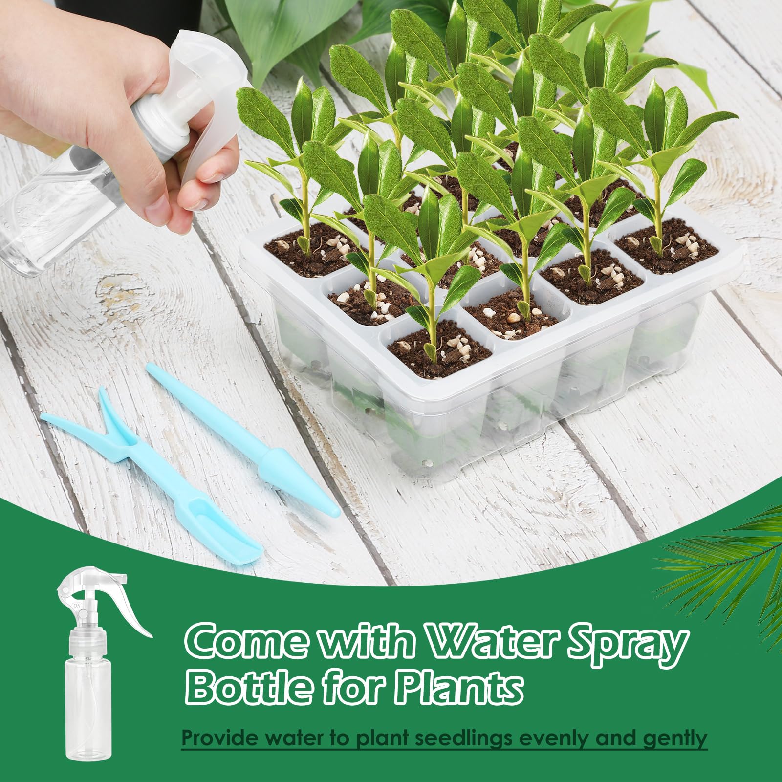 McKanti seed starter dome provides clear visibility for monitoring progress.