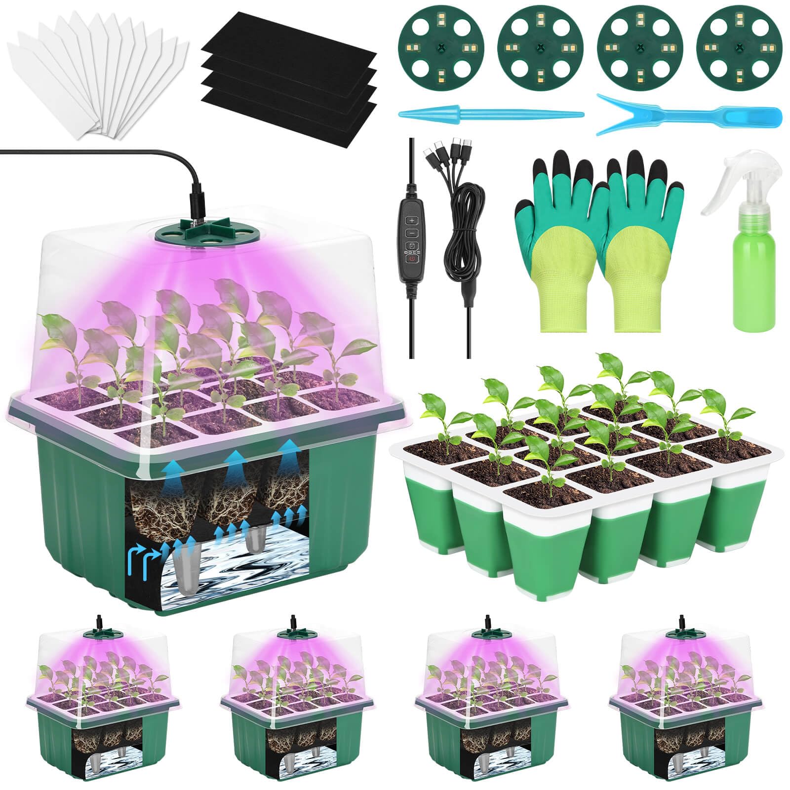 Mckanti seed starter tray with 12 cells, ideal for indoor germination