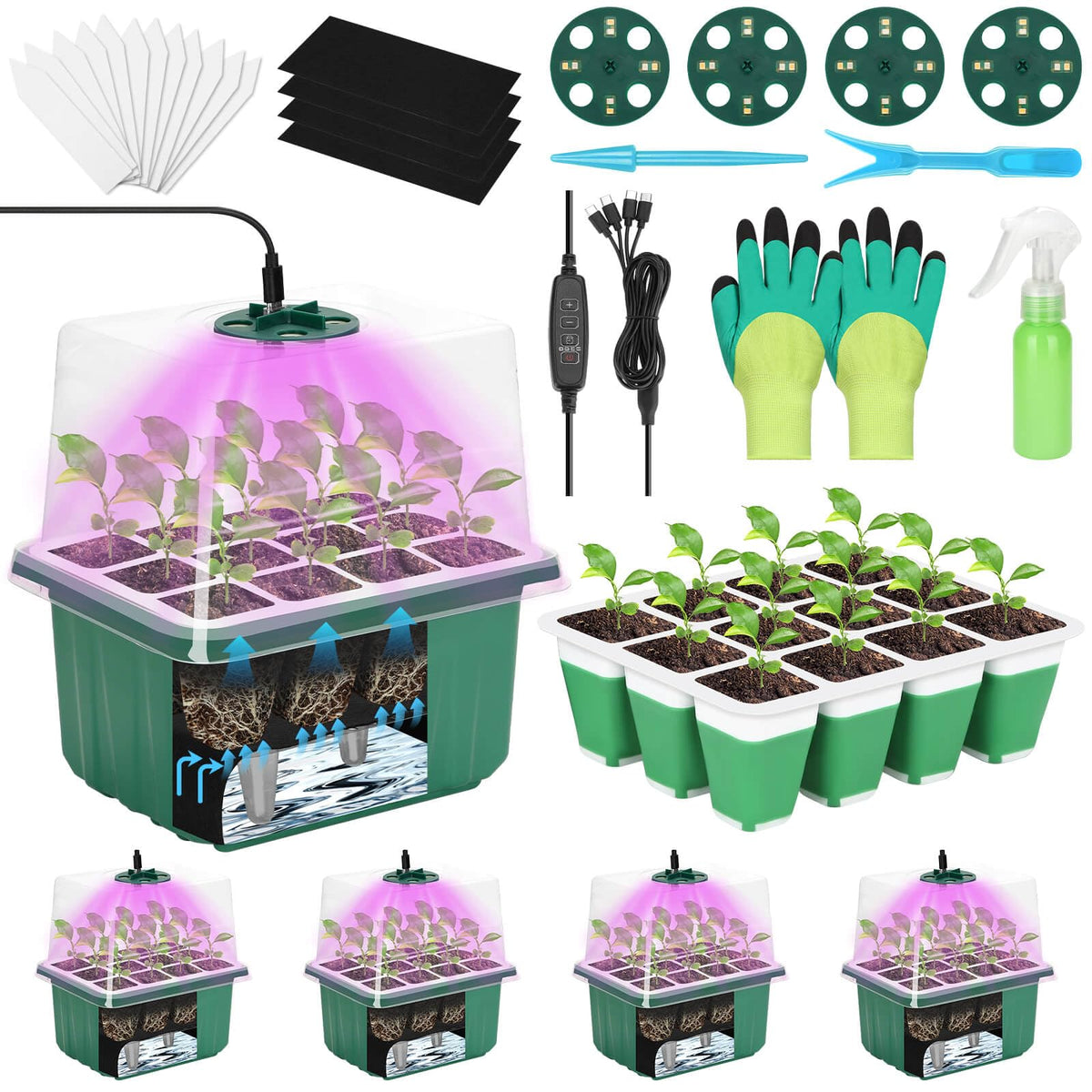 Mckanti seed starter tray with 12 cells, ideal for indoor germination