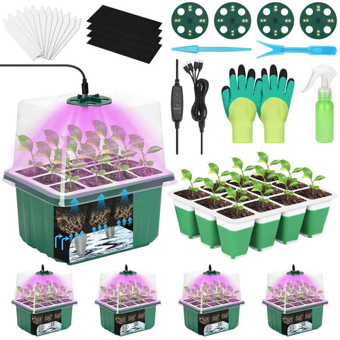 Mckanti seed starter tray with 12 cells, ideal for indoor germination