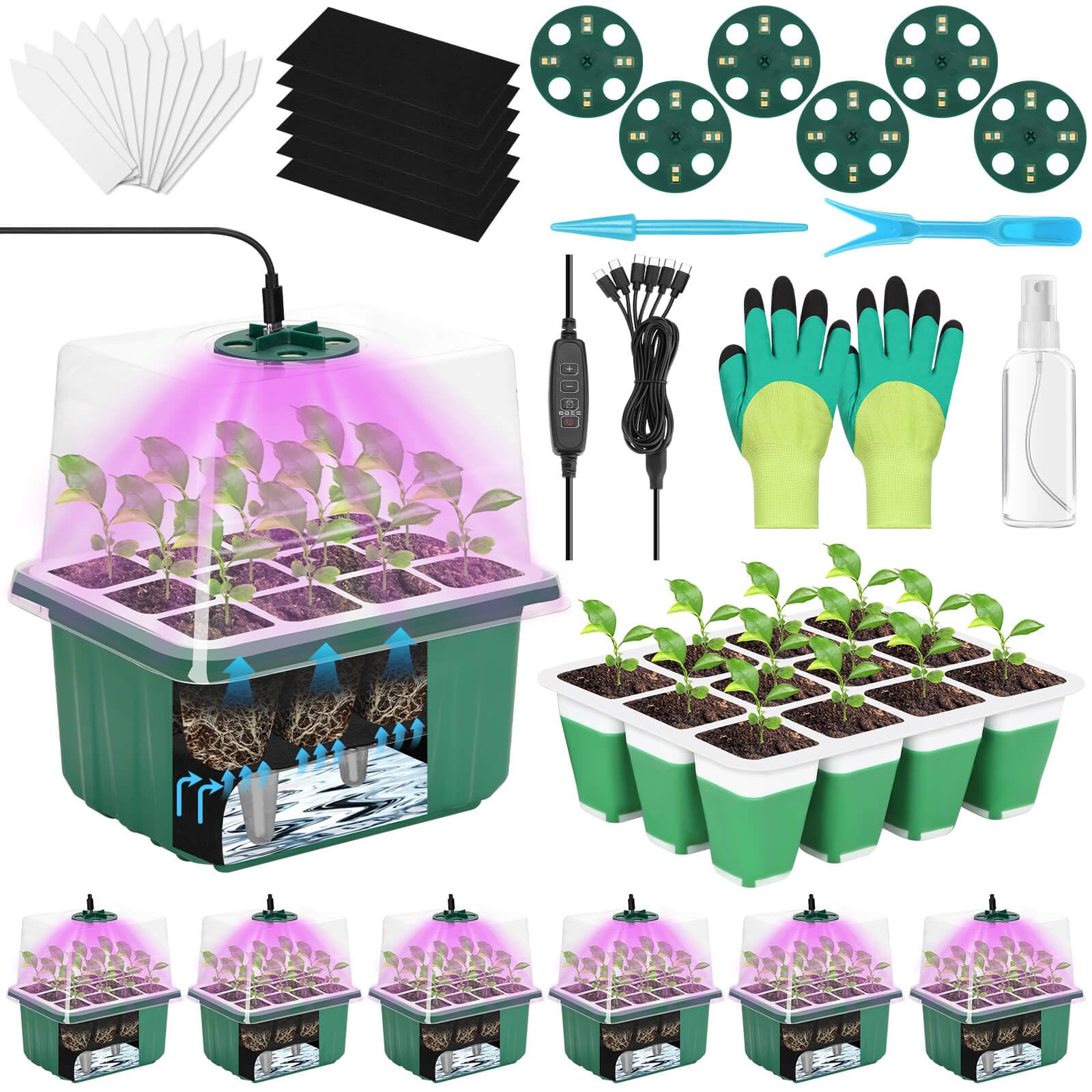 Mckanti self-watering seed starter tray with 12 cells for even moisture during germination.