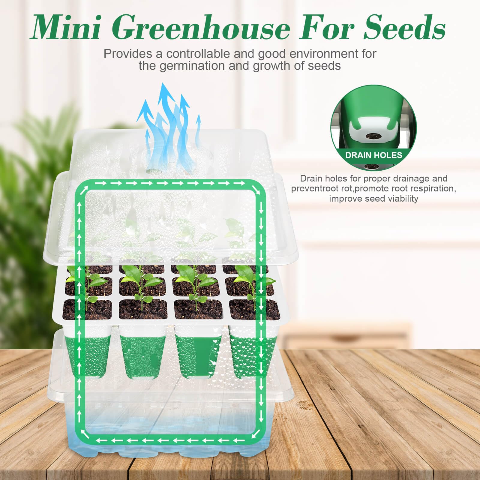 Mckanti transparent dome – easy plant observation during growth.
