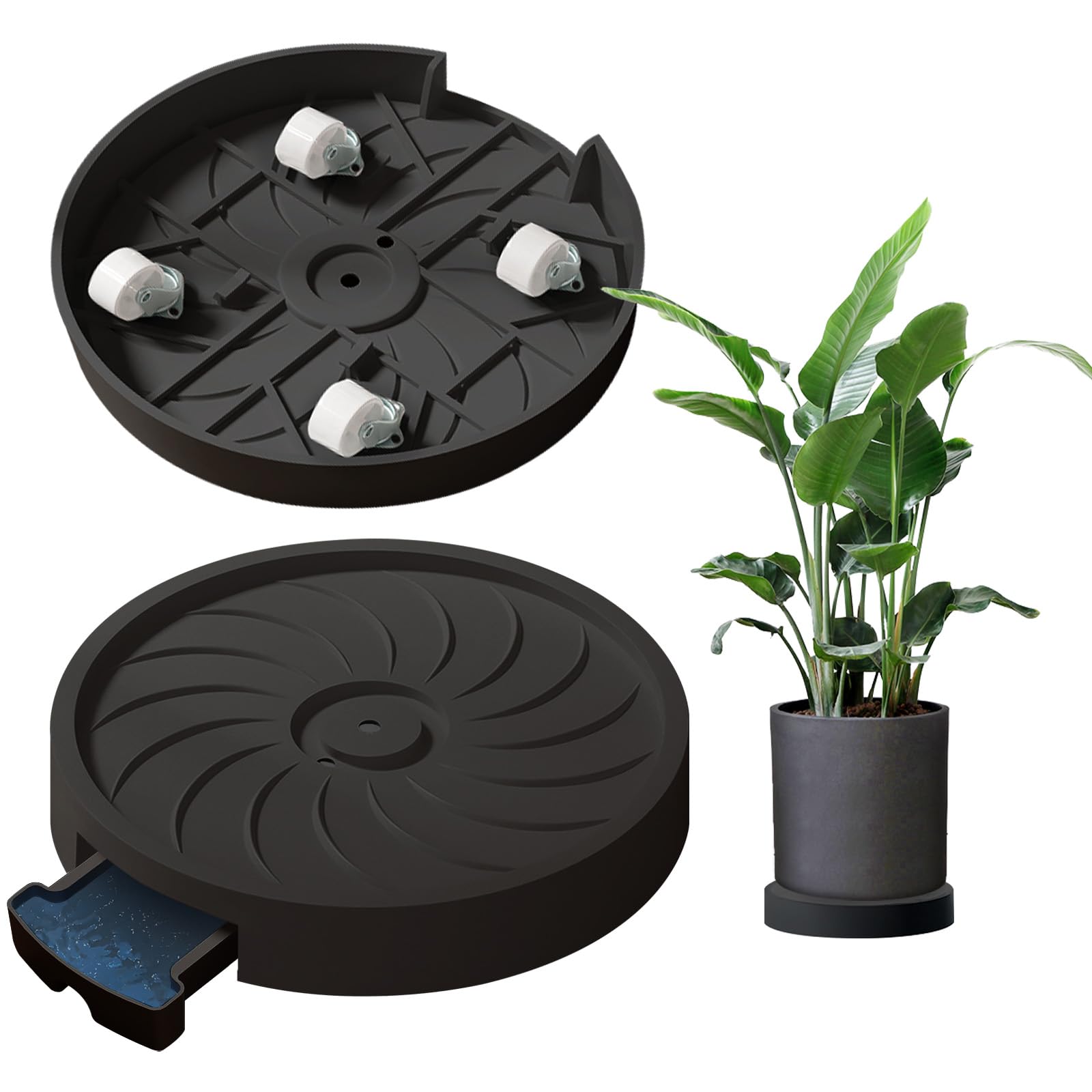 MCleanPin plant caddy with hidden wheels enables easy indoor relocation.