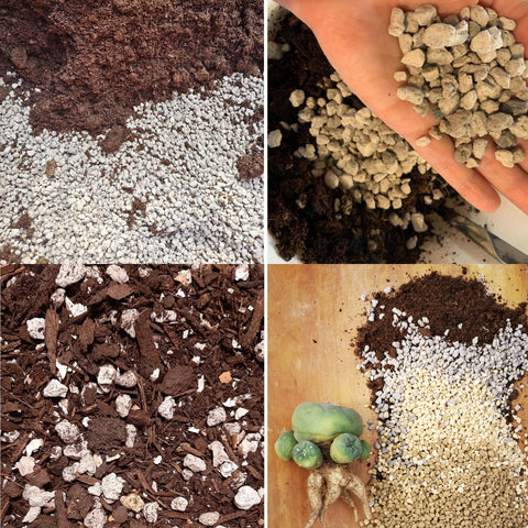 MDPQT horticultural pumice color variation white to light grey across batches