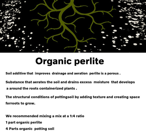 MDPQT Perlite aerated soil mix demo highlights breathability.