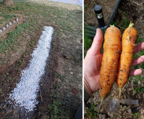 MDPQT Perlite multi-use garden shot highlights versatile horticulture.