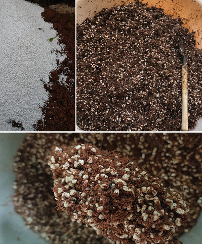 MDPQT Perlite soil-mix application closeup for fluffy growing media.
