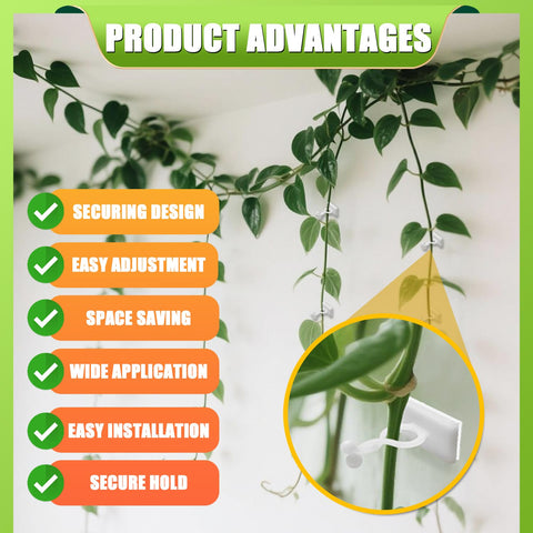 MDSOYOL indoor vine support clip keeps plants upright and attractive.