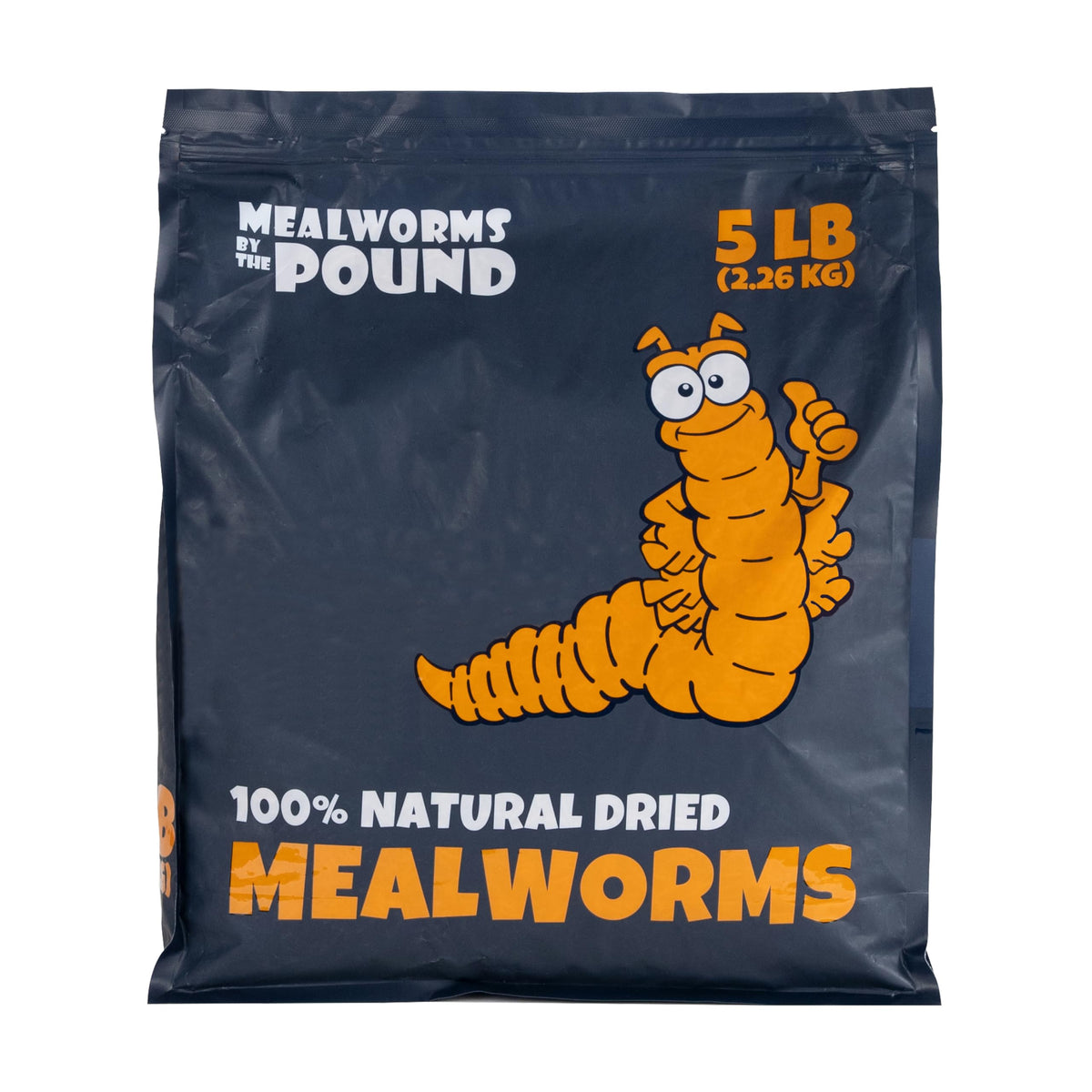 Mealworms by the Pound bulk dried bag close-up — natural protein snack for poultry
