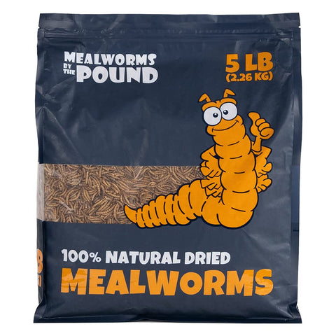 Mealworms by the Pound bulk dried packaging label — ready-to-store bulk supply