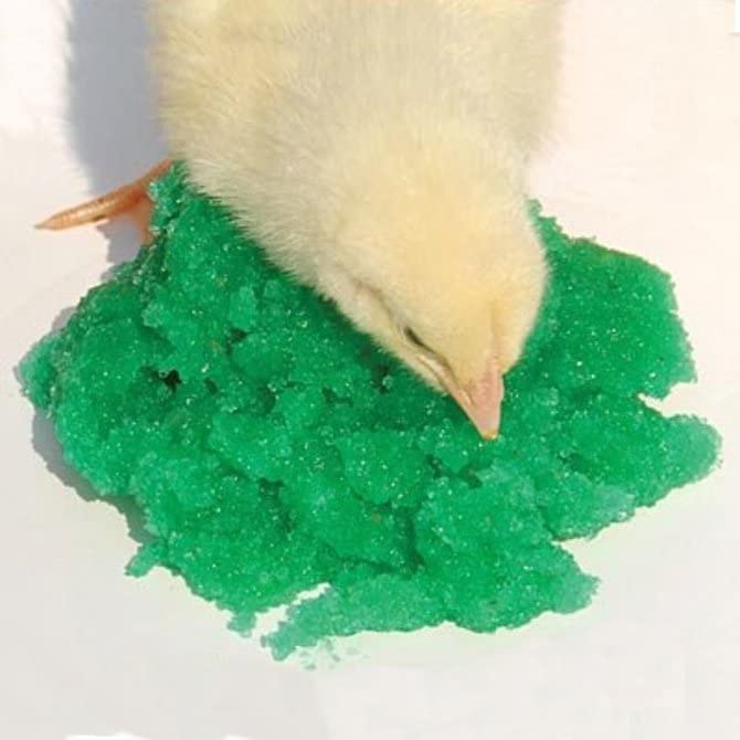 Measjimi Grogel Plus-B 100-dose pack supports hydration for multiple hatchling species