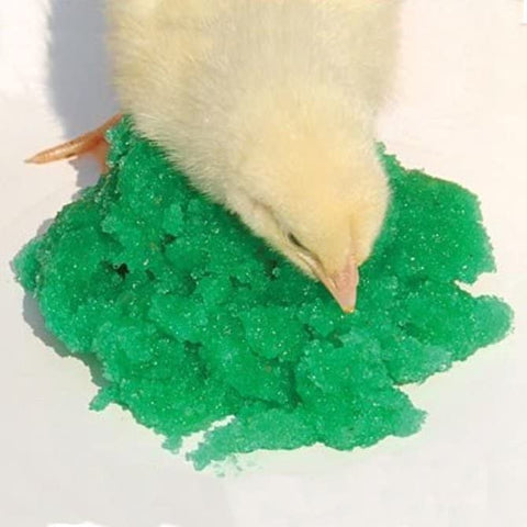 Measjimi Grogel Plus-B 100-dose pack supports hydration for multiple hatchling species