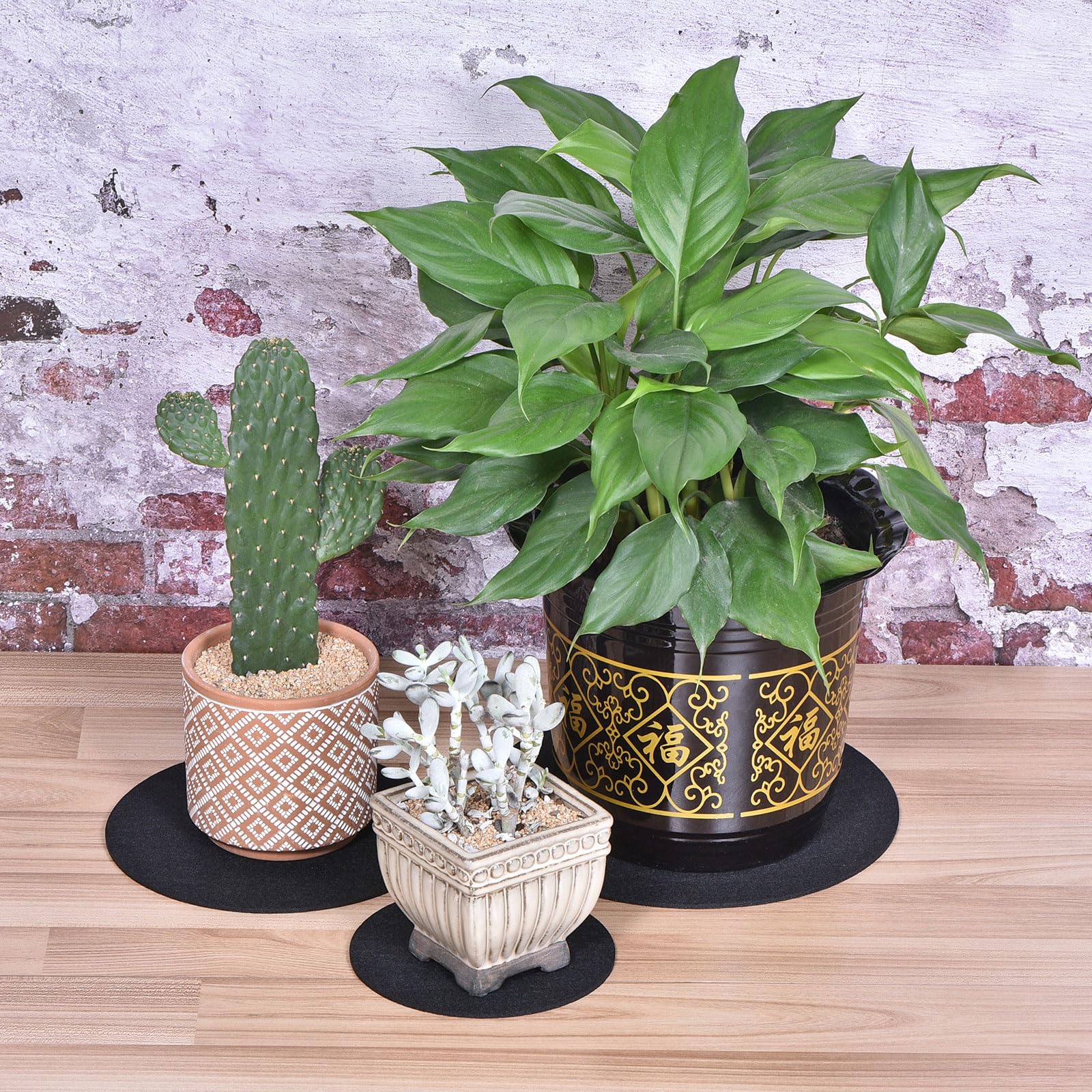 MECCANIXITY multipurpose plant coaster for outdoor patio and indoor use.