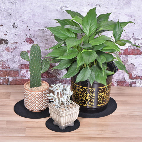 MECCANIXITY multipurpose plant coaster for outdoor patio and indoor use.