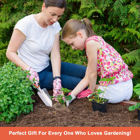 MECHEER garden shovel assists transplanting and precise planting in small beds.