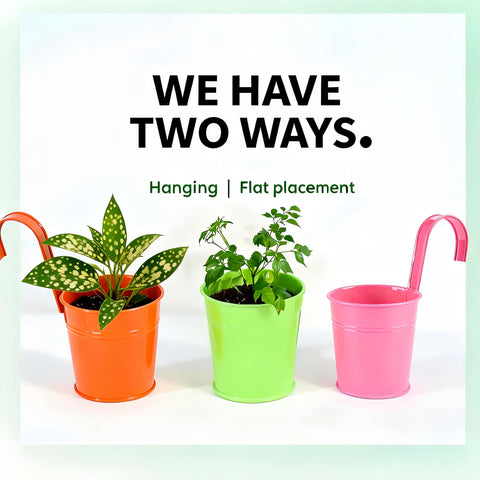 MeCids metal planters suit indoor-outdoor use for small-space greenery.