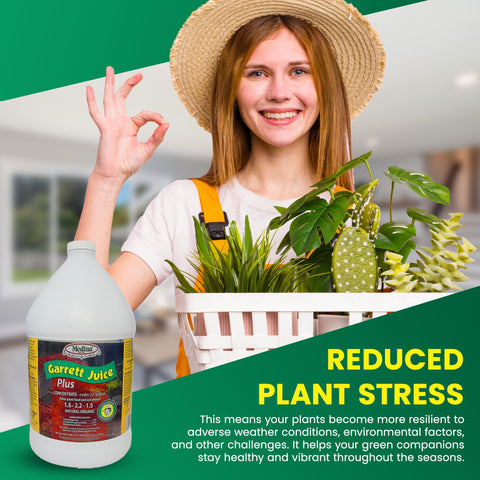 Medina Garrett Juice Plus garden vegetation shows robust growth in outdoor spaces.
