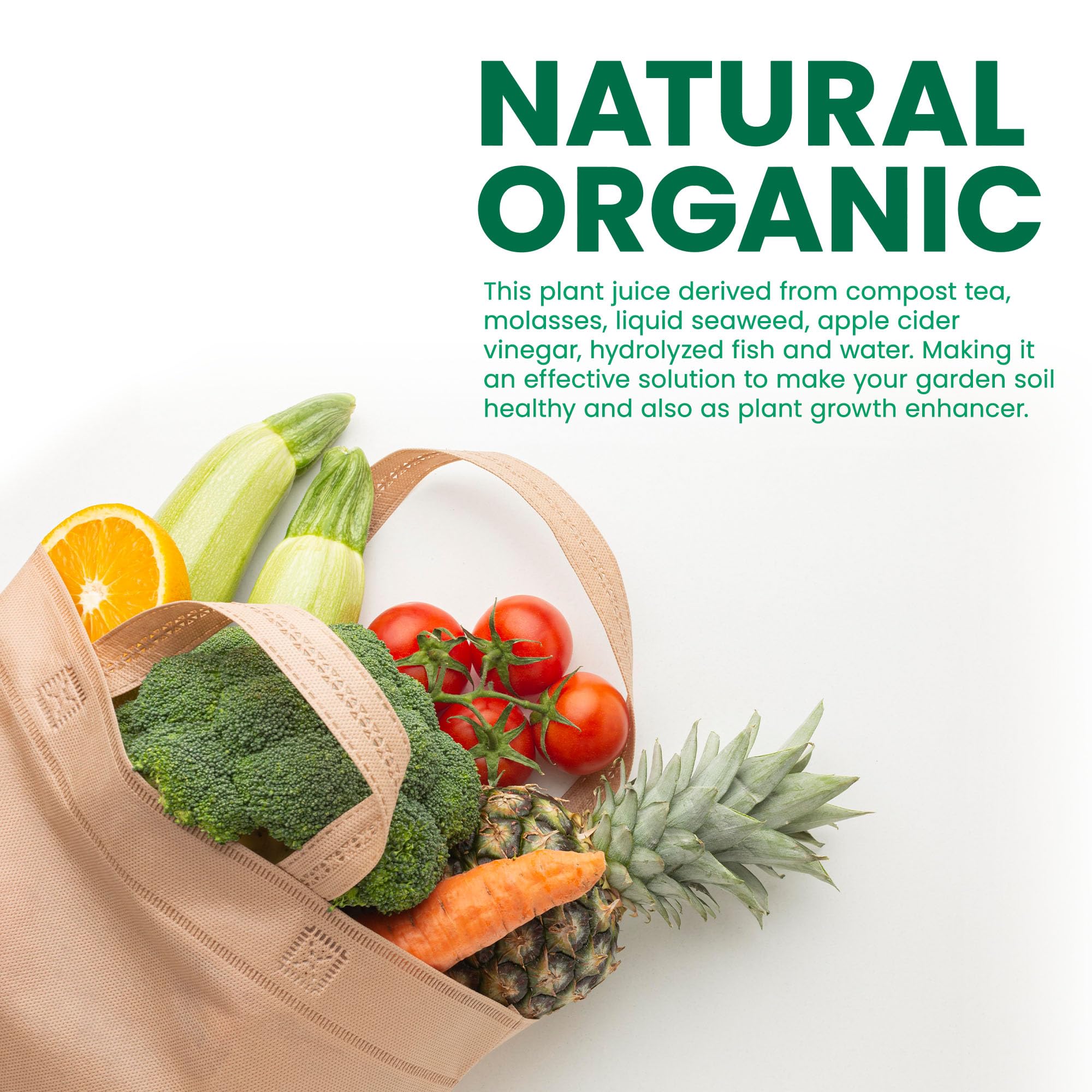 Medina Garrett Juice Plus indoor plants receiving treatment promotes resilience and vigor.