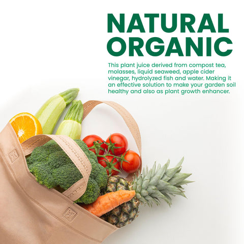 Medina Garrett Juice Plus indoor plants receiving treatment promotes resilience and vigor.