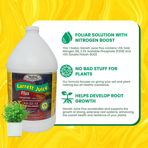 Medina Garrett Juice Plus leaves shine, illustrating healthier indoor plant growth.