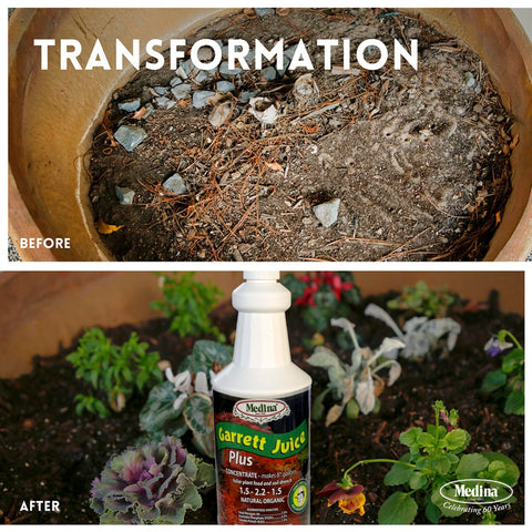 Medina Garrett Juice Plus soil health support improves root environment.