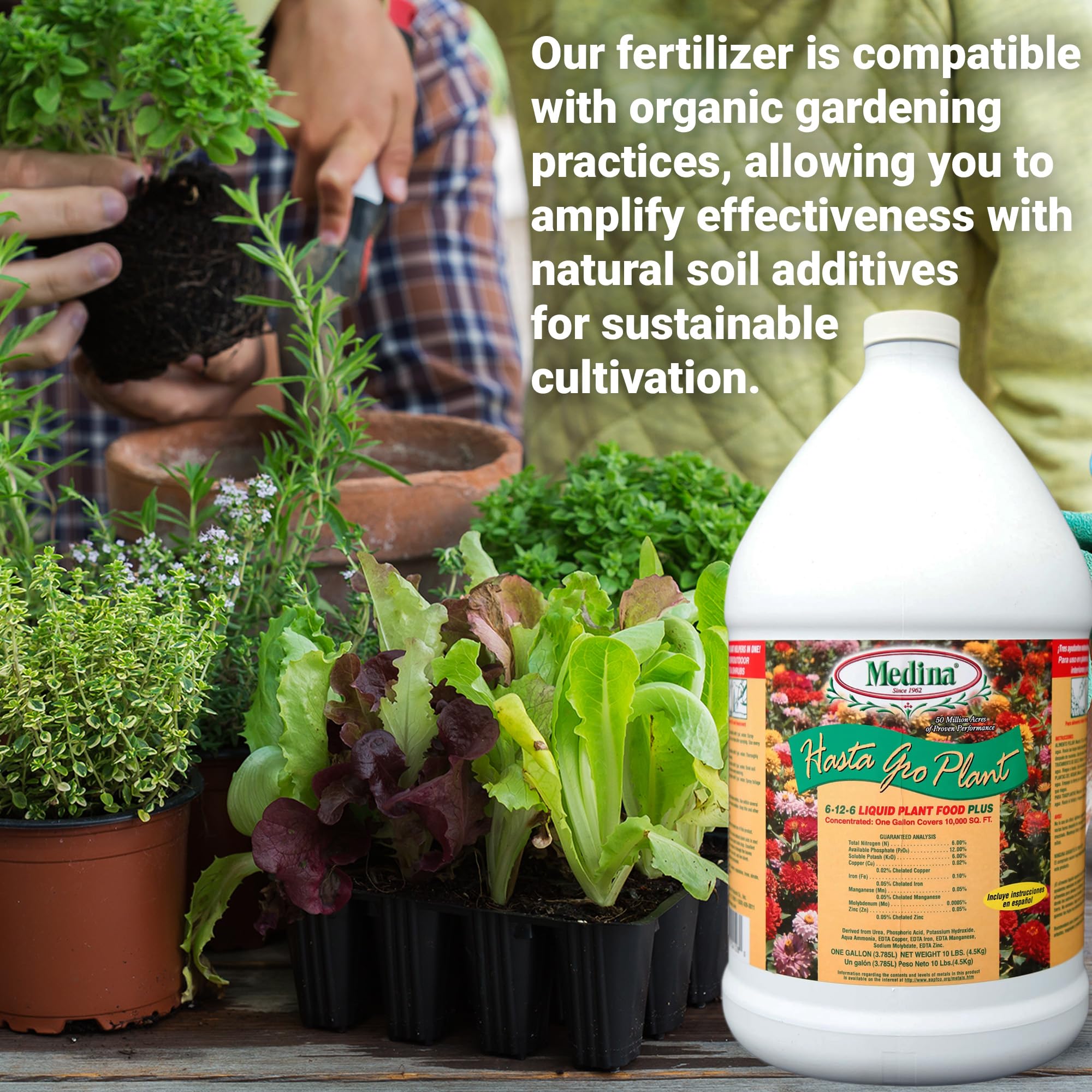 Medina HastaGro supports vibrant blooms with balanced nutrients.