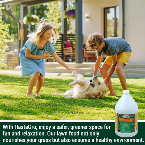 Medina HastGro lawn quick green-up demonstrates fast color boost.
