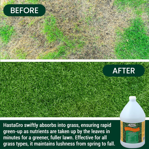 Medina HastGro lawn soil health close-up emphasizes improved soil biology.