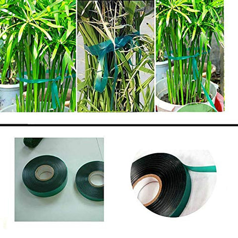 Medoore green weather-resistant tape for discreet staking and training.