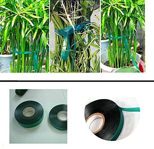 Medoore tape ideal for vines, vegetables, shrubs, and flowers.