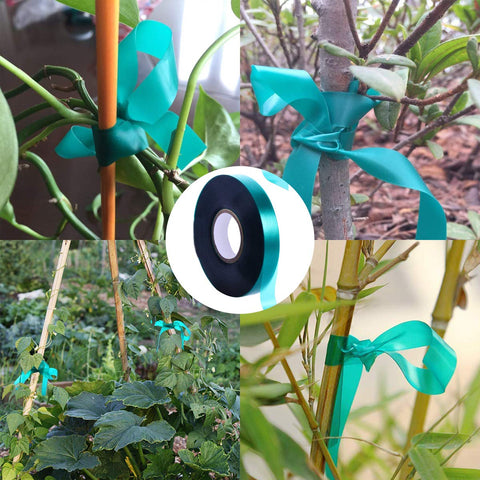 Medoore stretch-tie tape guides vines and vegetables while growing.