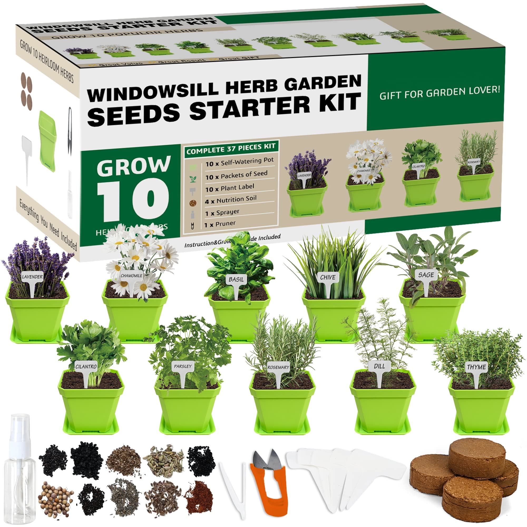 Meekear 10-herb seeds with green pots ready for indoor kitchen gardening