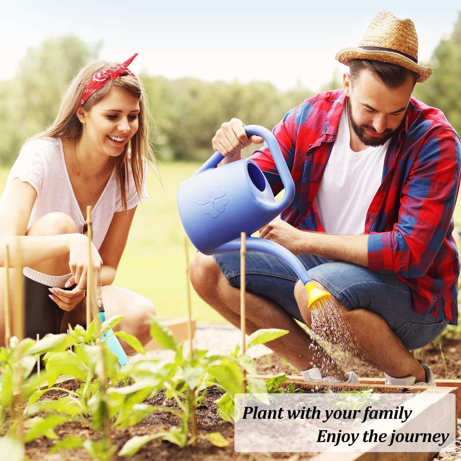 Meekear 10-Kit chamomile plant for calming tea-ready leaves