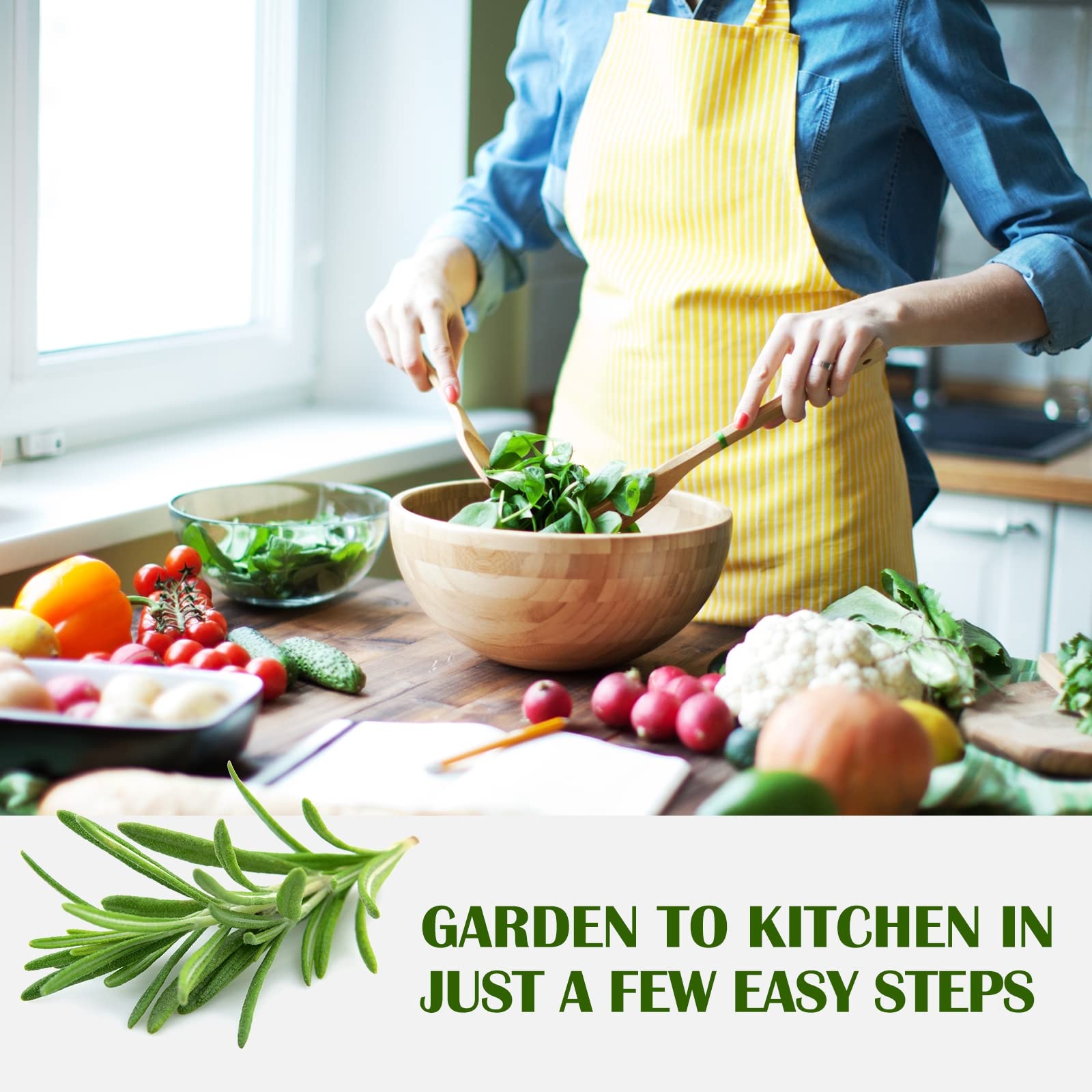 Meekear 10-Kit chives for fresh onion-like garnish