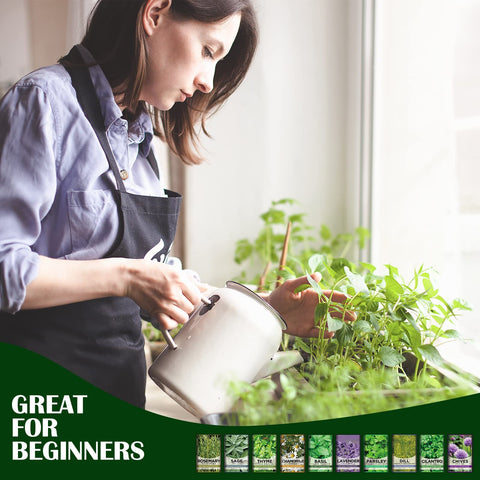Meekear 10-Kit cilantro for vibrant salads and salsas