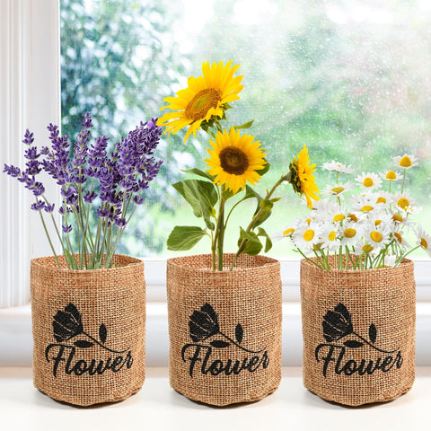 Meekear 5 Kit Zinnia seed packets for vibrant outdoor bouquets.