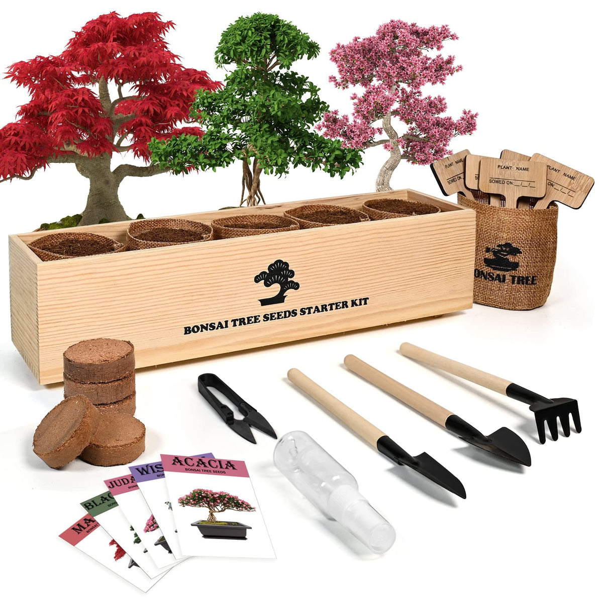Meekear bonsai kit contents shown for beginners, complete starter set for home gardening