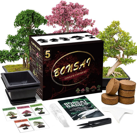 Meekear Bonsai Kit plastic pots with drainage for seedlings
