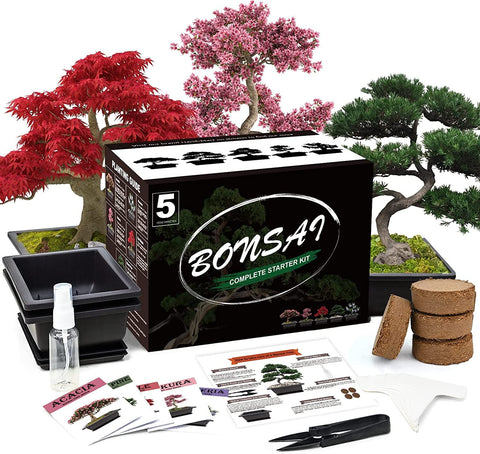 Meekear bonsai-kit-pots: five self-watering pots support easy germination and care